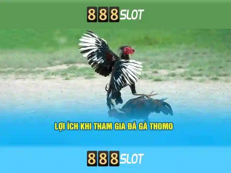 Đăng Nhập