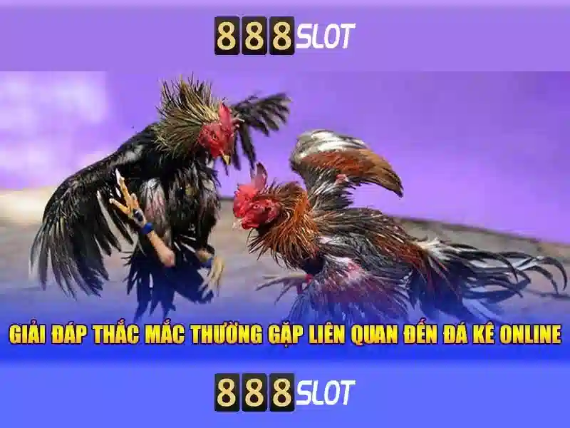 Giới thiệu về 888slot
