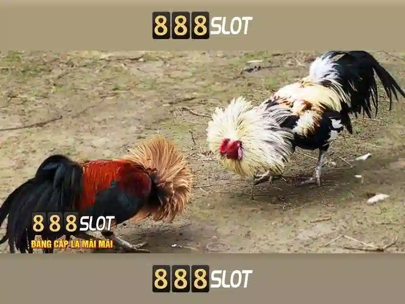 Khuyến mãi và bảo mật