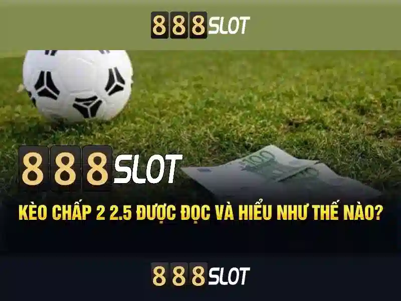 Cài đặt và Giao diện người dùng