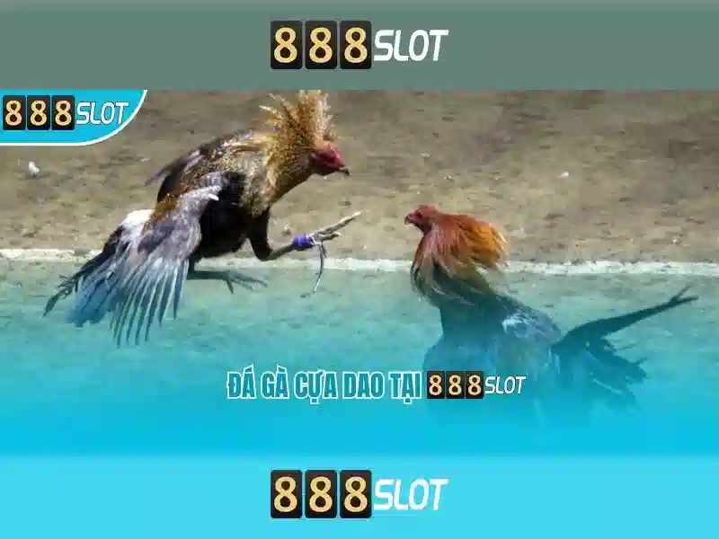 888slot - Trải nghiệm casino trực tuyến tuyệt vời Soi kèo hiệp 1