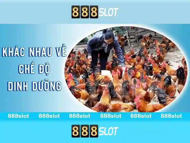Soi kèo hiệp 1