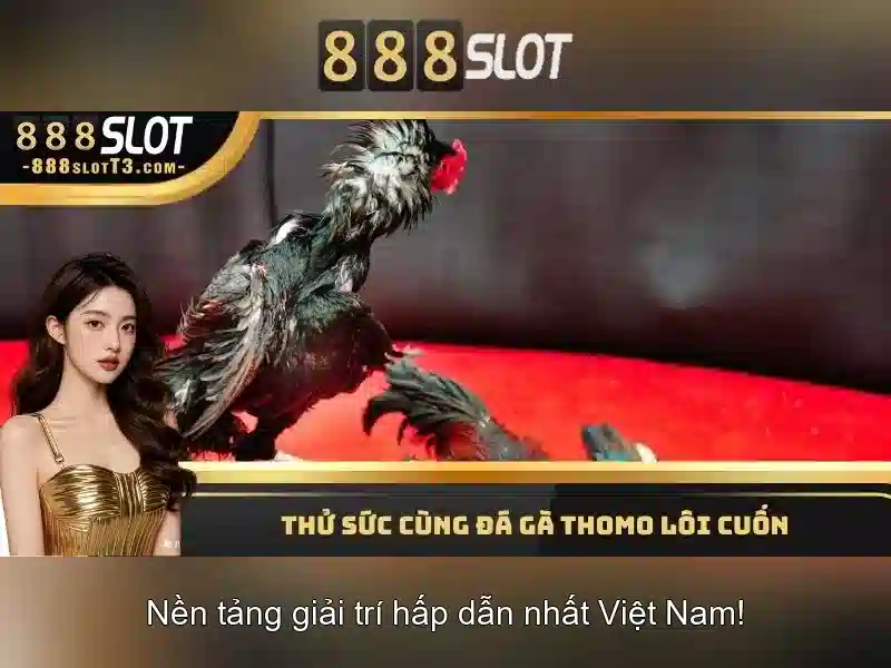 Trai nghiem nguoi dung va thiet ke Trai nghiem nguoi dung va thiet ke