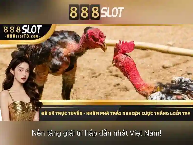 Soi kèo hiệp 1