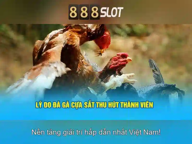 Giao diện người dùng và trải nghiệm