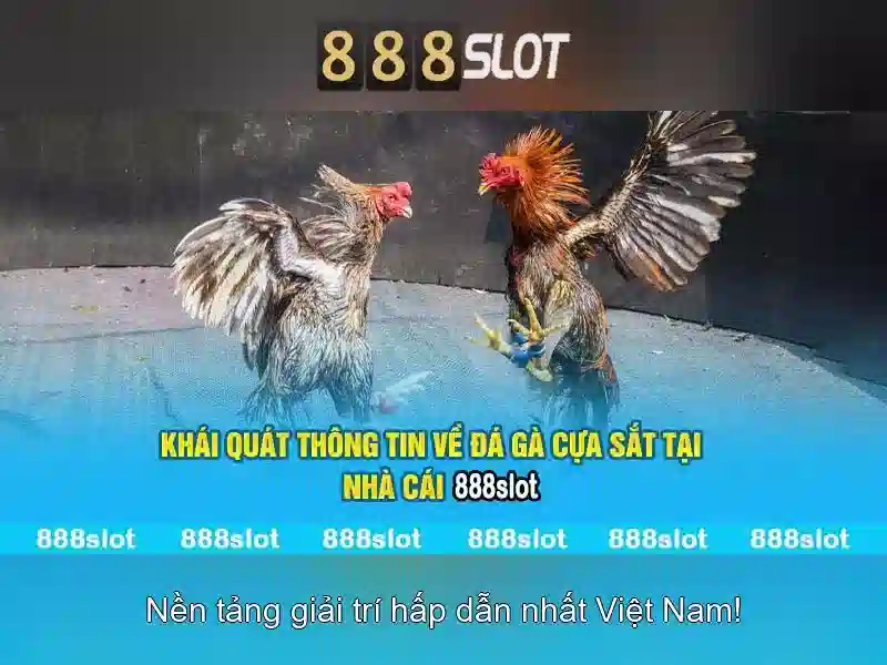 nusa slot 888 – Tổng quan chủ đề và giá trị cốt lõi