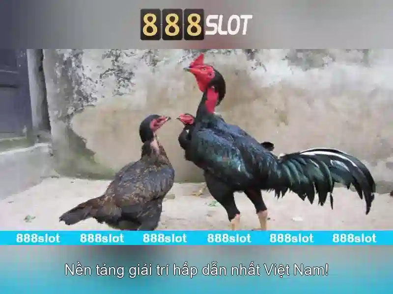 Đăng Nhập