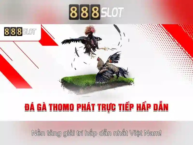 Soi kèo hiệp 1