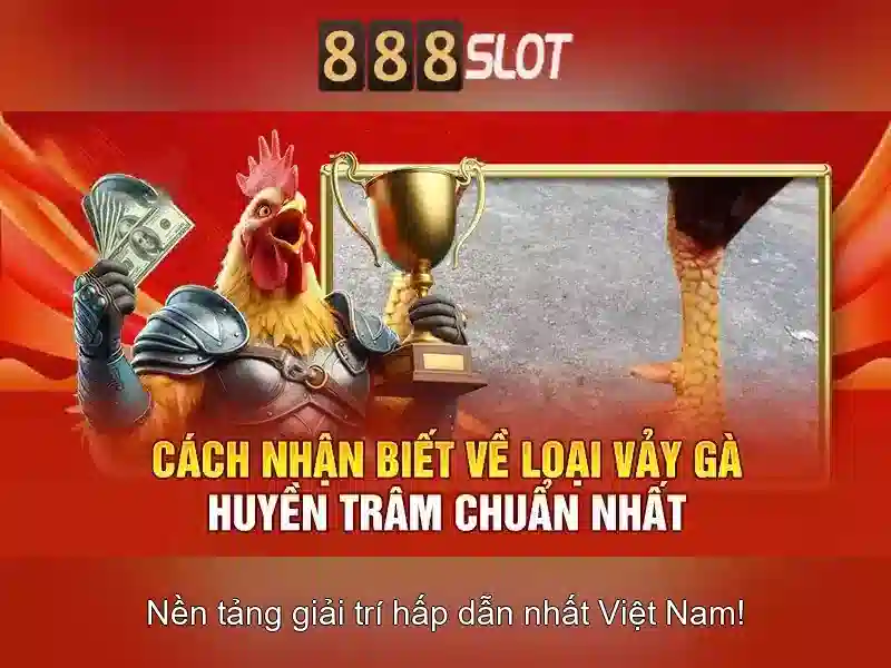 Trò chơi và nhà cung cấp