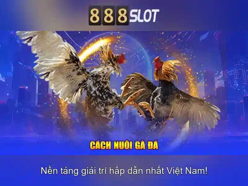 Giao diện và khả năng tương thích Giao diện và khả năng tương thích