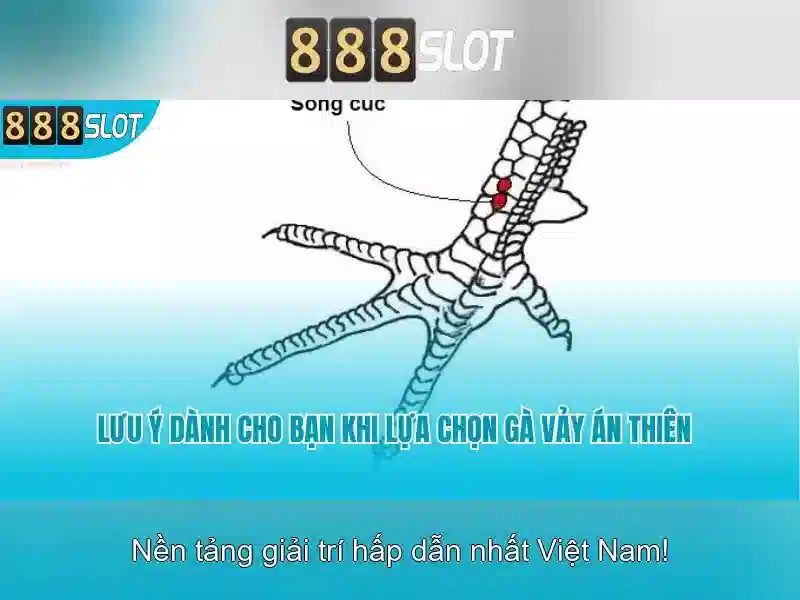 888slot – Nền tảng casino trực tuyến nổi bật tại Việt Nam 1 Đăng Nhập