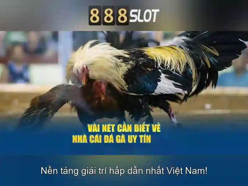 Soi kèo hiệp 1